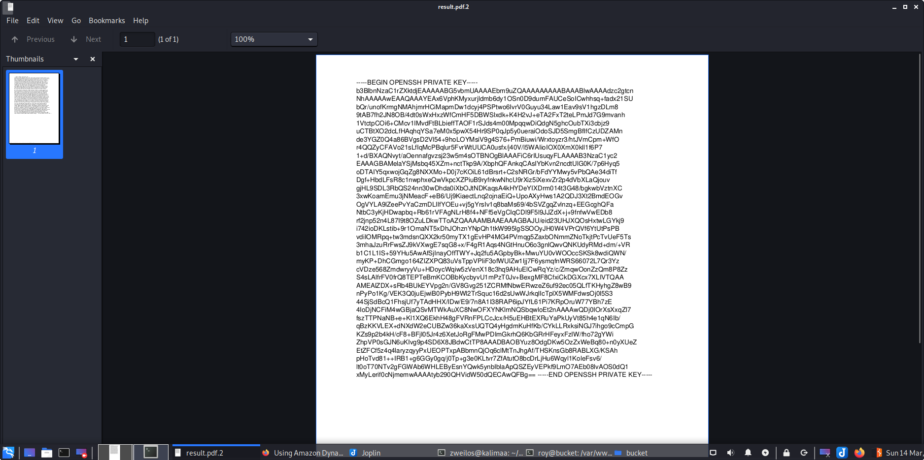 A PDF file containing the contents of root’s private SSH key